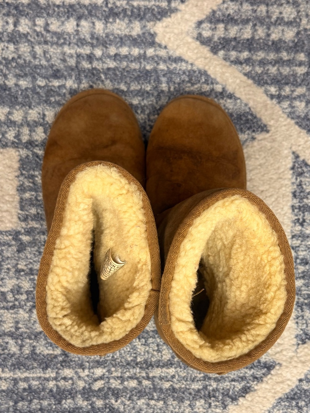 UGG Australia Chestnut Suede Boots